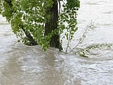 Professional Water Damage Restoration