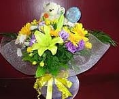 Newborn Flowers