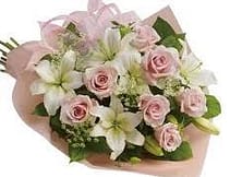 Newborn Flowers