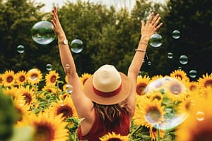 sunflower